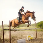 young-female-jockey-on-horse-leaping-over-hurdle-e1698498094916